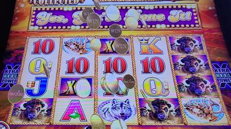 Hunting Gold Heads Buffalo Gold Revolution Slot