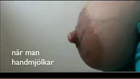 Free Maiden Porn Videos Xhamster