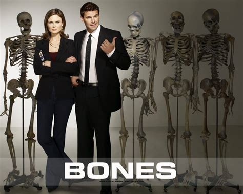 Download Bones Skeletons Emily Deschanel David Boreanaz Wallpaper ... 