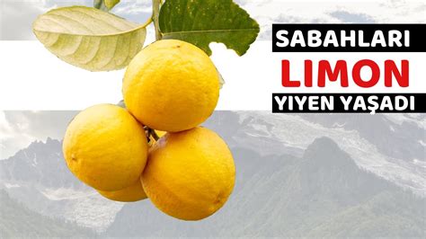 Sabahları Yarım Limon Vücudunuza Bunları Yapıyor Limonun Faydaları Ve