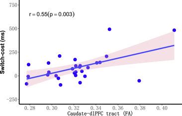 White Matter Alterations Of The Goal Directed System In Patients With