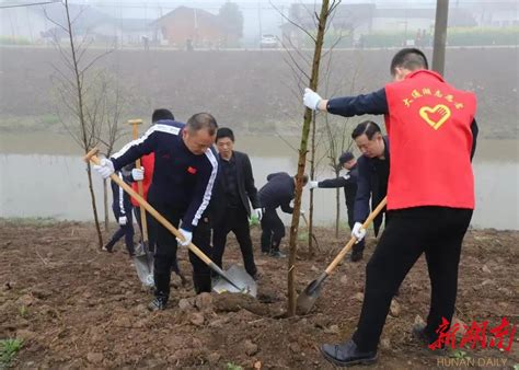 大通湖区：义务植树添新绿 乡村振兴增活力 新湖南客户端 新湖南