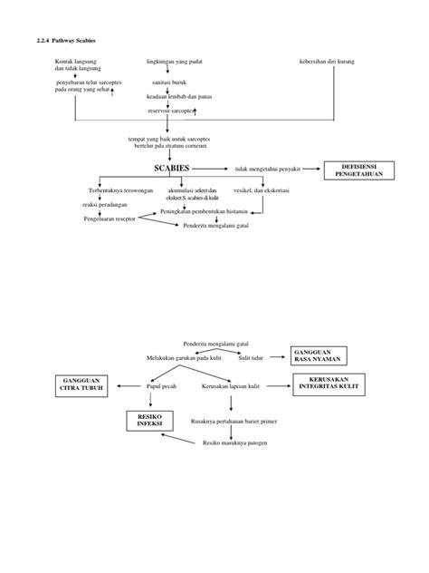 Pathway Scabies