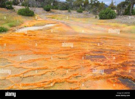 Hot Spring Bouncing Bounces Hop Skipping Frisks Jumping Jump Mammoth Stock Photo Alamy