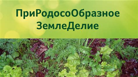 ПриРодосоОбразное ЗемлеДелие - YouTube