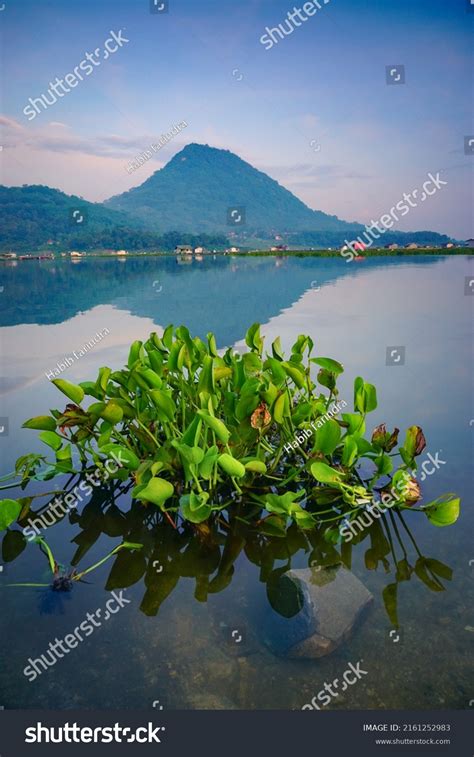 Beautiful Landscapes Mountain Pesona Tanggul Usman Stock Photo ...