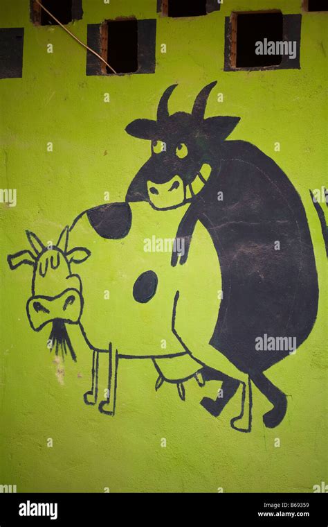 Image Of A Cow And A Bull Having Sex Stock Photo Alamy