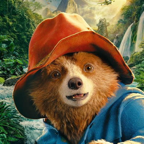 paddington bear consistency   count  facebook