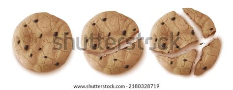 Chocolate Cookie Top View Png Over 31 Royalty Free Licensable Stock