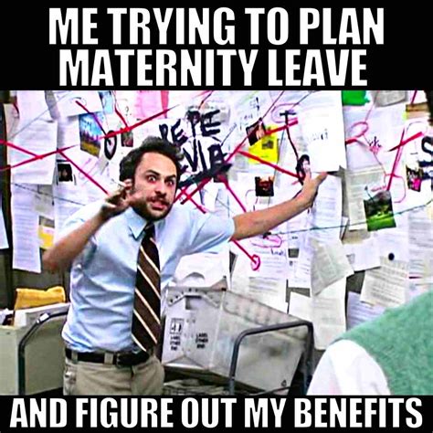 hilarious pregnancy memes  mom    relate