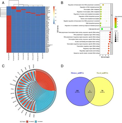 A Heatmap Showing The Distribution Of MiRNAs And Their Target Genes