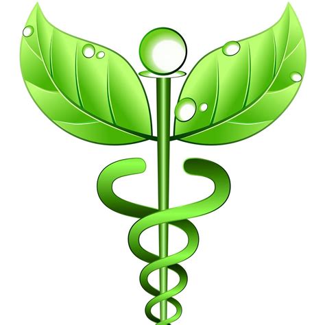 May's Traditional Chinese Massage | Wodonga VIC
