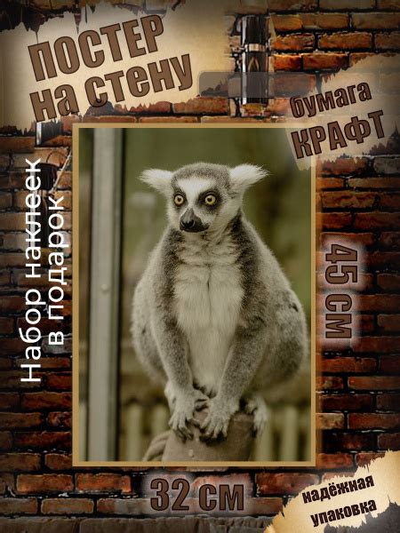 Постер Постеры на стену Животные, 45 купить по выгодной цене в интернет ...