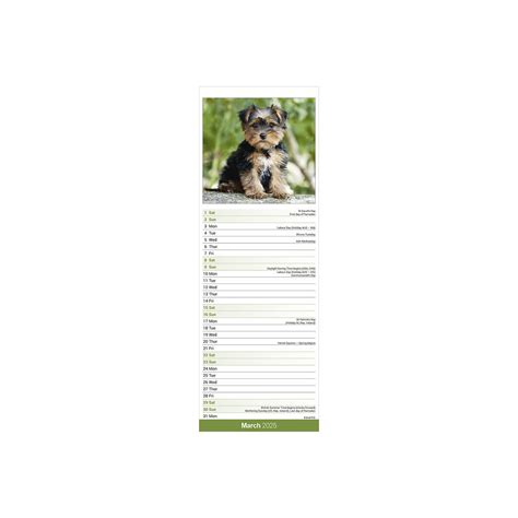 Calendrier Mural Etroit Slim Chien De Race Yorkshire Terrier