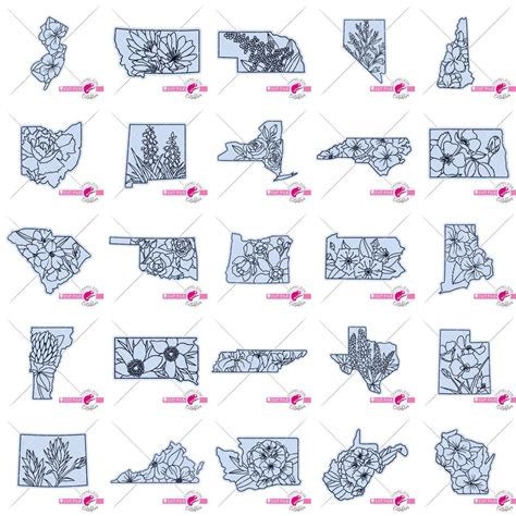 State Flower Svg Bundle 50 State Designs Chameleon Cuttables Llc