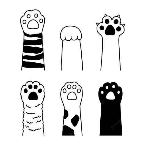 Лапка раскраска - 73 фото