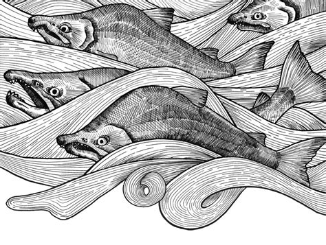Иллюстрация Книжная иллюстрация, серия о Дальнем востоке, концепт в