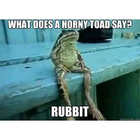 What Does A Horny Toad Say Pictures Photos And Images For Facebook Tumblr Pinterest And