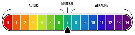 How To Balance Ph Levels In Pool Expert Tips Unveiled