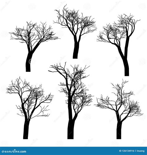 Set Of Black Naked Trees Silhouette Set Hand Drawn Isolated Stock Vector Illustration Of