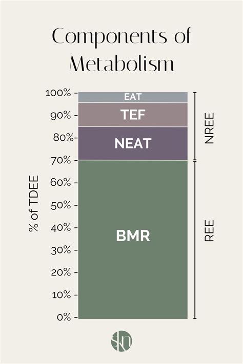 Metabolism 101: How Do You Burn Calories? - Stephanie Kay Nutrition