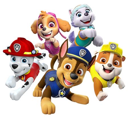 Paw patrol family