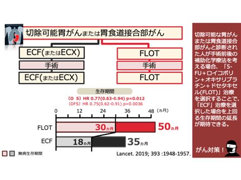 osflotvsecf