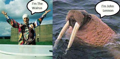 I Am The Walrus Beatles Funny Beatles Fans I Am The Walrus