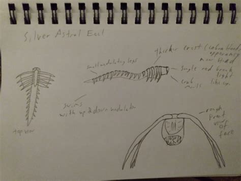 silver astral eel  rhuen  deviantart