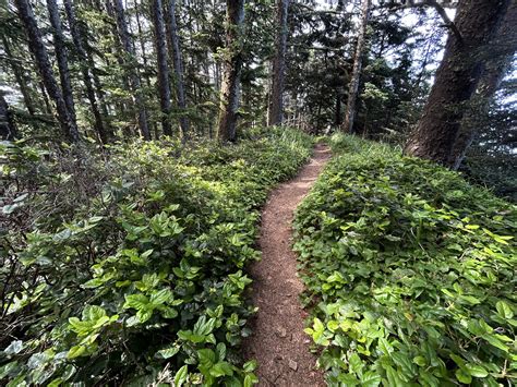 Hiking the Cape Sebastian Trail on the Oregon Coast — noahawaii