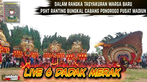 Reog Ponorogo Gempar Pentas 6 Dadak Merak Dalam Rangka Tasyakuran