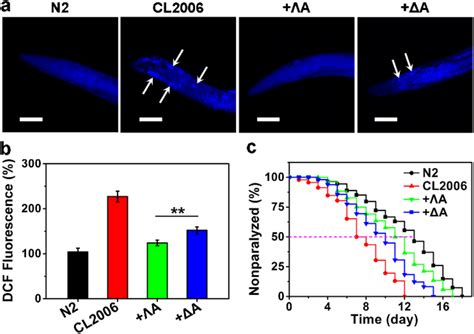 rescuing ab  paralysis  cl strain  la