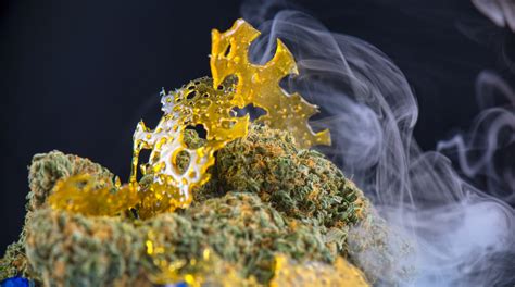 Understanding Cannabis Concentrates Oz Store