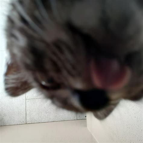 My Beautiful Pussy Scrolller