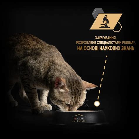 Сухий корм для стерилізованих котів Purina Pro Plan Sterilised Adult 1 ...