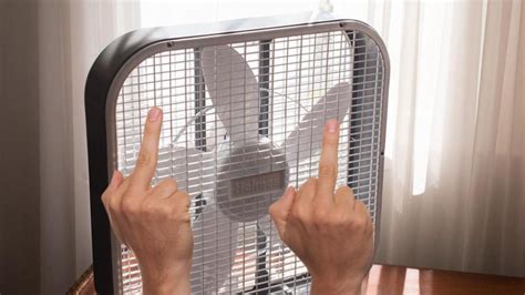 It's Me, Your Box Fan, And Fuck You Too – Bwog