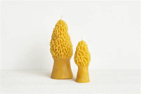 Beeswax Morel Mushroom Candle Woodlark Shop