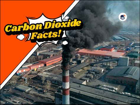carbon dioxide facts       printable