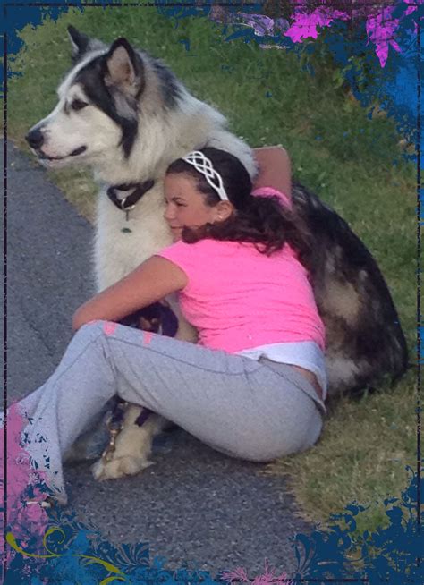 57 Giant Alaskan malamutes ideas | alaskan malamute, giant alaskan malamute, malamute
