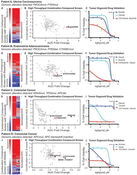 Personalized In Vitro And In Vivo Cancer Models To Guide Precision