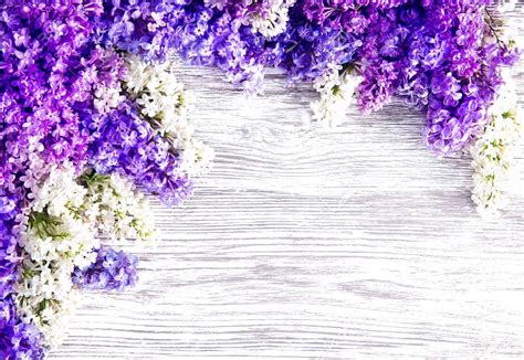99 Background Bunga Warna Ungu For Free Myweb