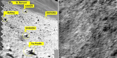 Japón Retoma El Contacto Con El Aterrizador Slim En La Luna