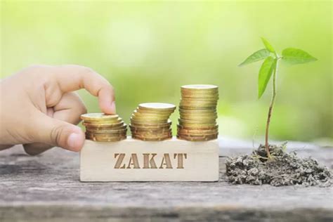 Bacaan Niat Zakat Fitrah Untuk Diri Sendiri Anak Keluarga Lengkap