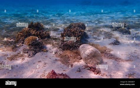 Marine plastic pollution Stock Photo - Alamy