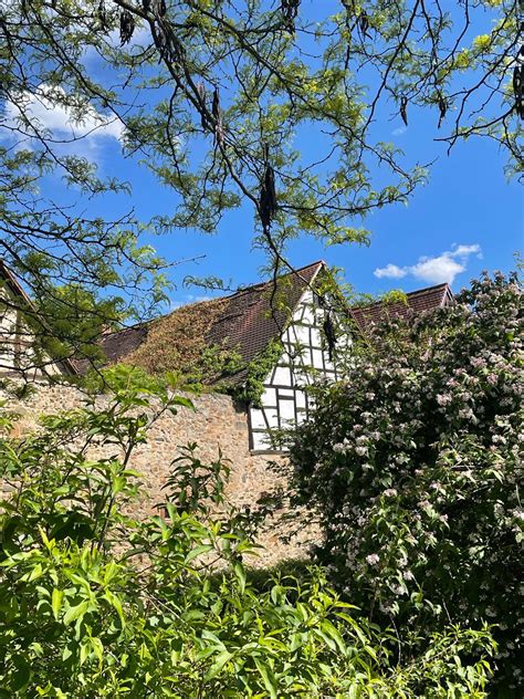 Ein lieber Drücker aus meiner Heimat 🫶! Was mir gestern wieder so