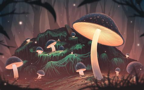 Mushroom Wallpaper Kolpaper Awesome Free Hd Wallpapers