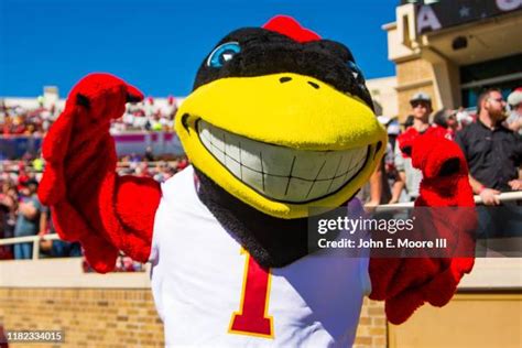 Iowa State Cyclones Mascot Photos and Premium High Res Pictures - Getty ...