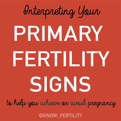 Big Hug Little Kiss Interpreting Your Fertility Signs