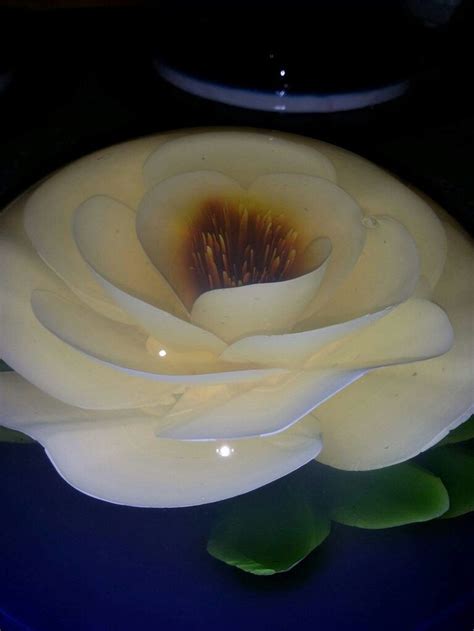 Pin By Blancas Artistica On Artistic Gelatin Plants Artist Gelatin