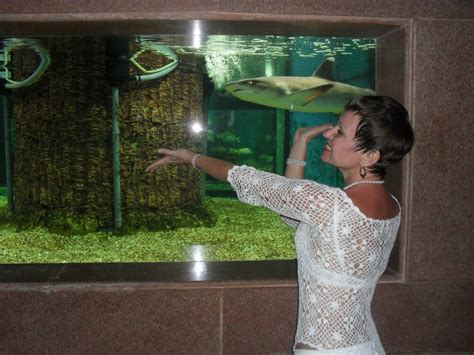 Dear Mia Cam Model Free Live Sex Show Chat Stripchat